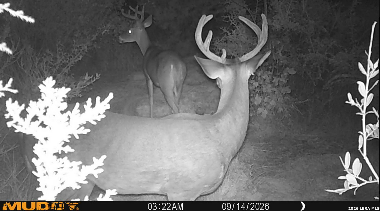 26A CR 630, Rocksprings, TX 78880