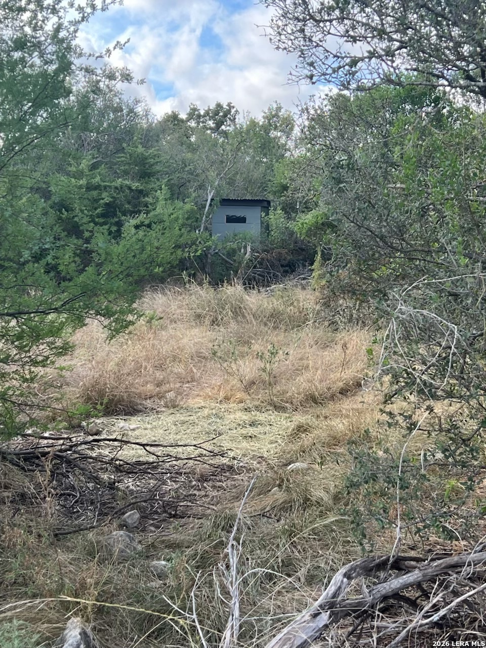 26A CR 630, Rocksprings, TX 78880