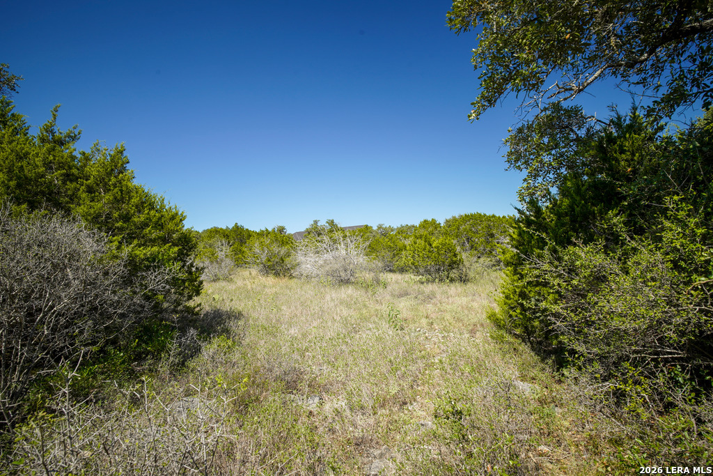 TBD, LOT #65 County Road 2806, Mico, TX 78056