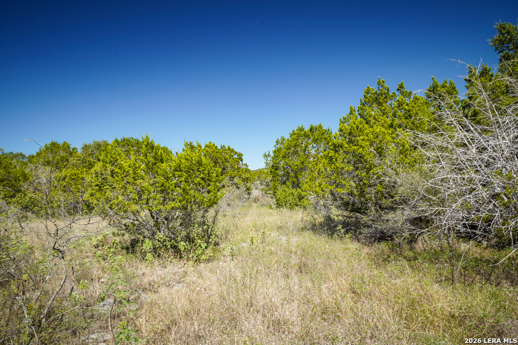 TBD, LOT #65 County Road 2806, Mico, TX 78056