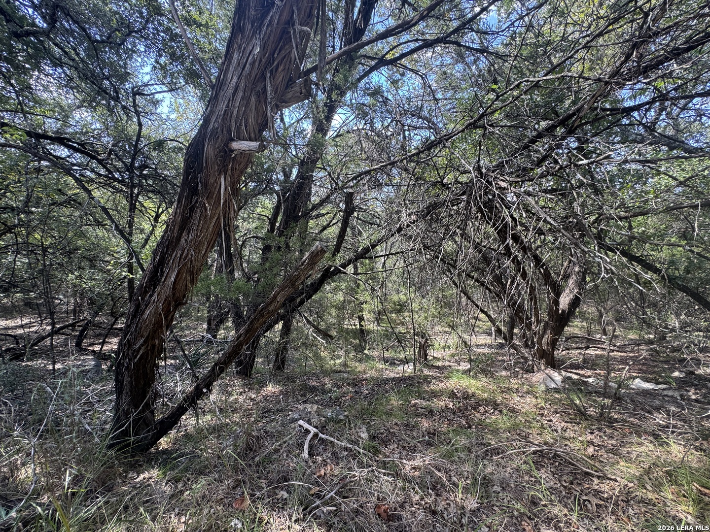 Property photo for 243 W SLOPE TRL, Lakehills, TX