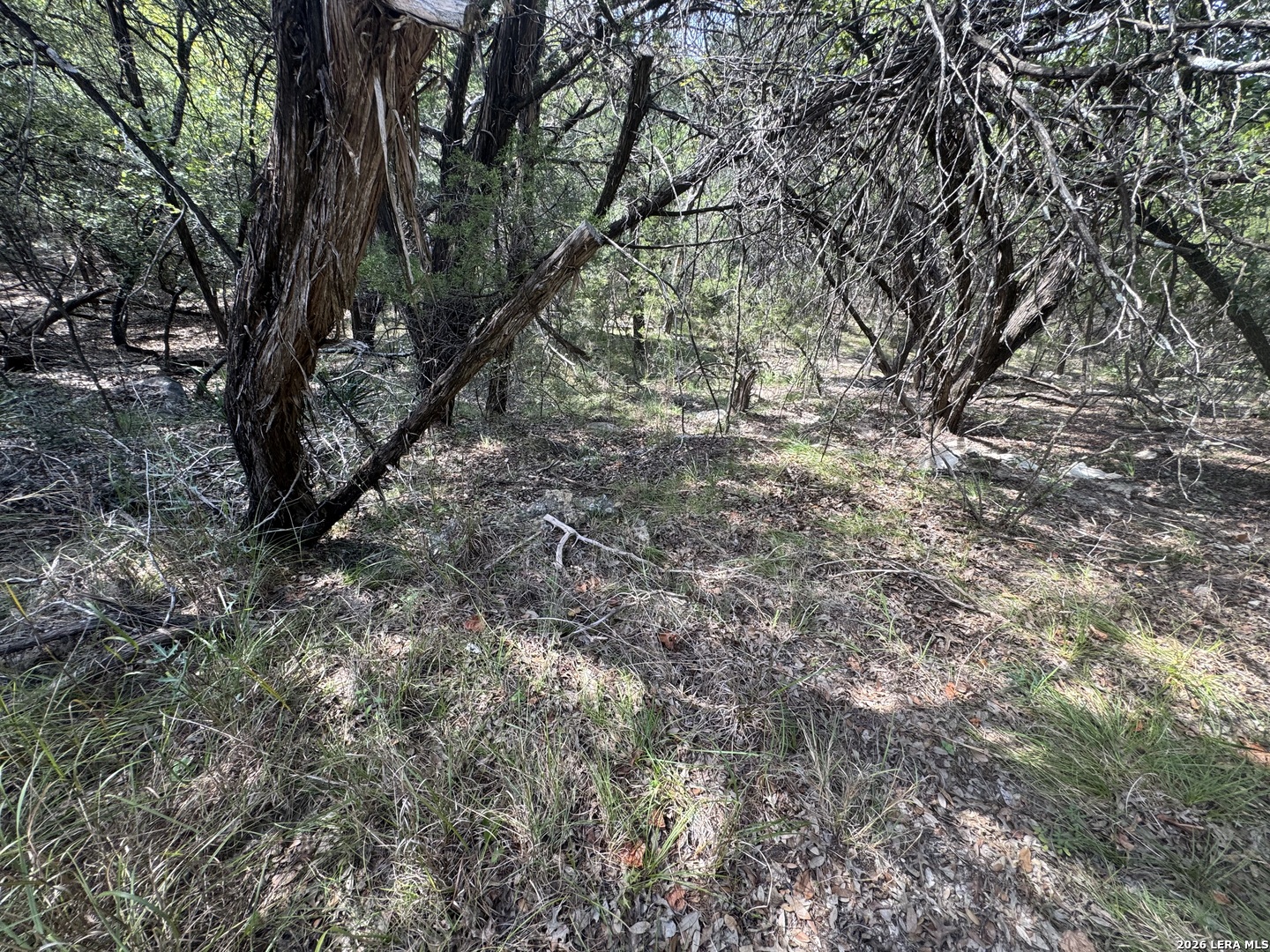 243 W SLOPE TRL, Lakehills, TX 78063