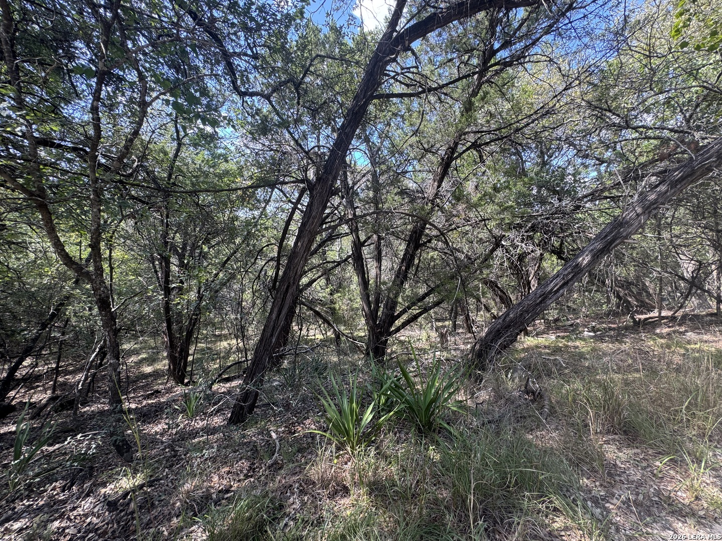 243 W SLOPE TRL, Lakehills, TX 78063