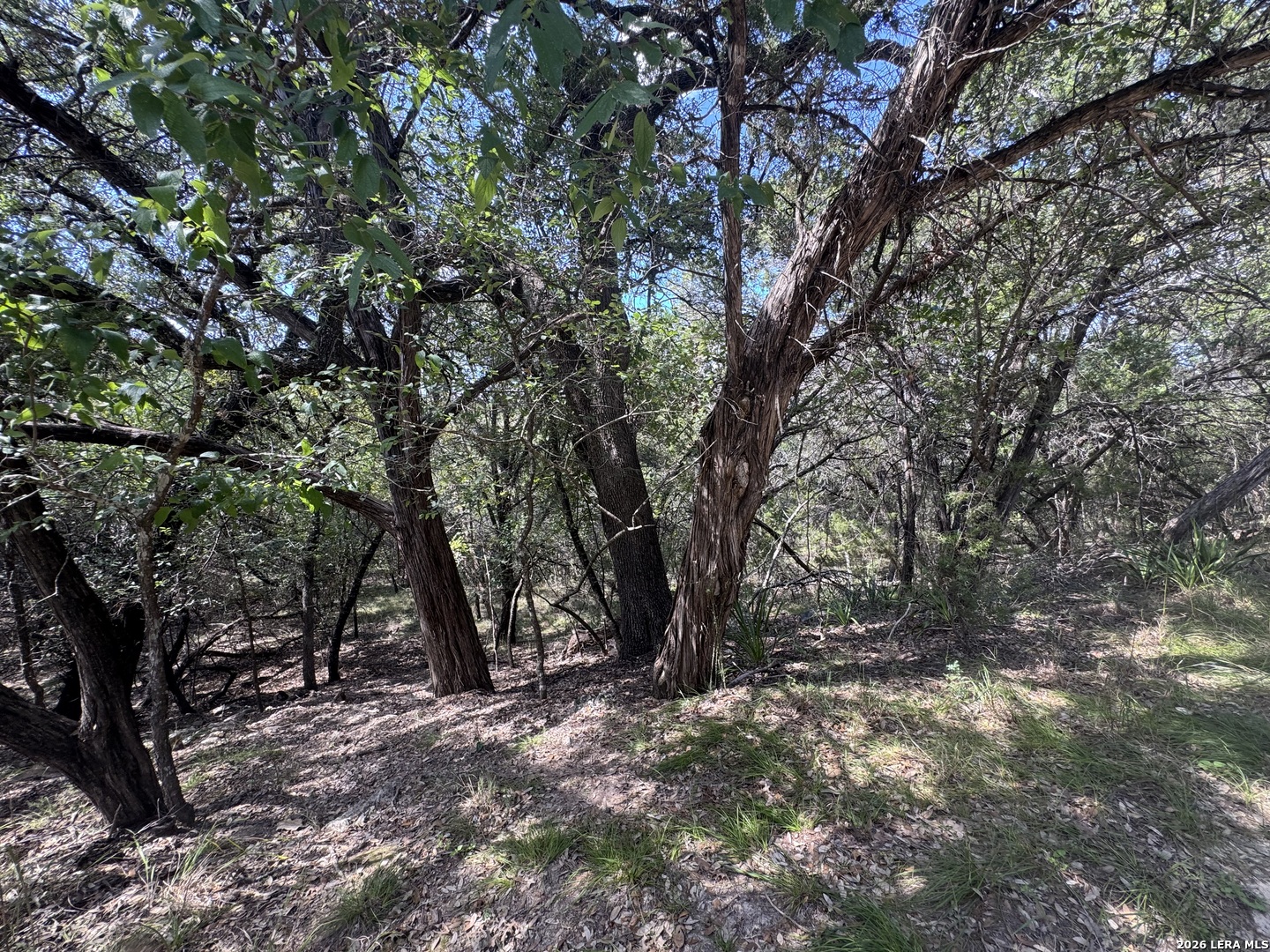 243 W SLOPE TRL, Lakehills, TX 78063
