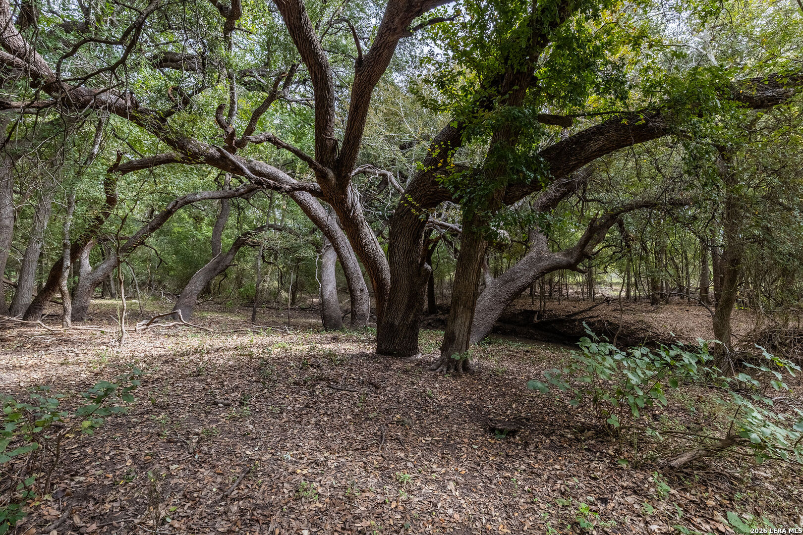 581 Eden Rd, Seguin, TX 78155