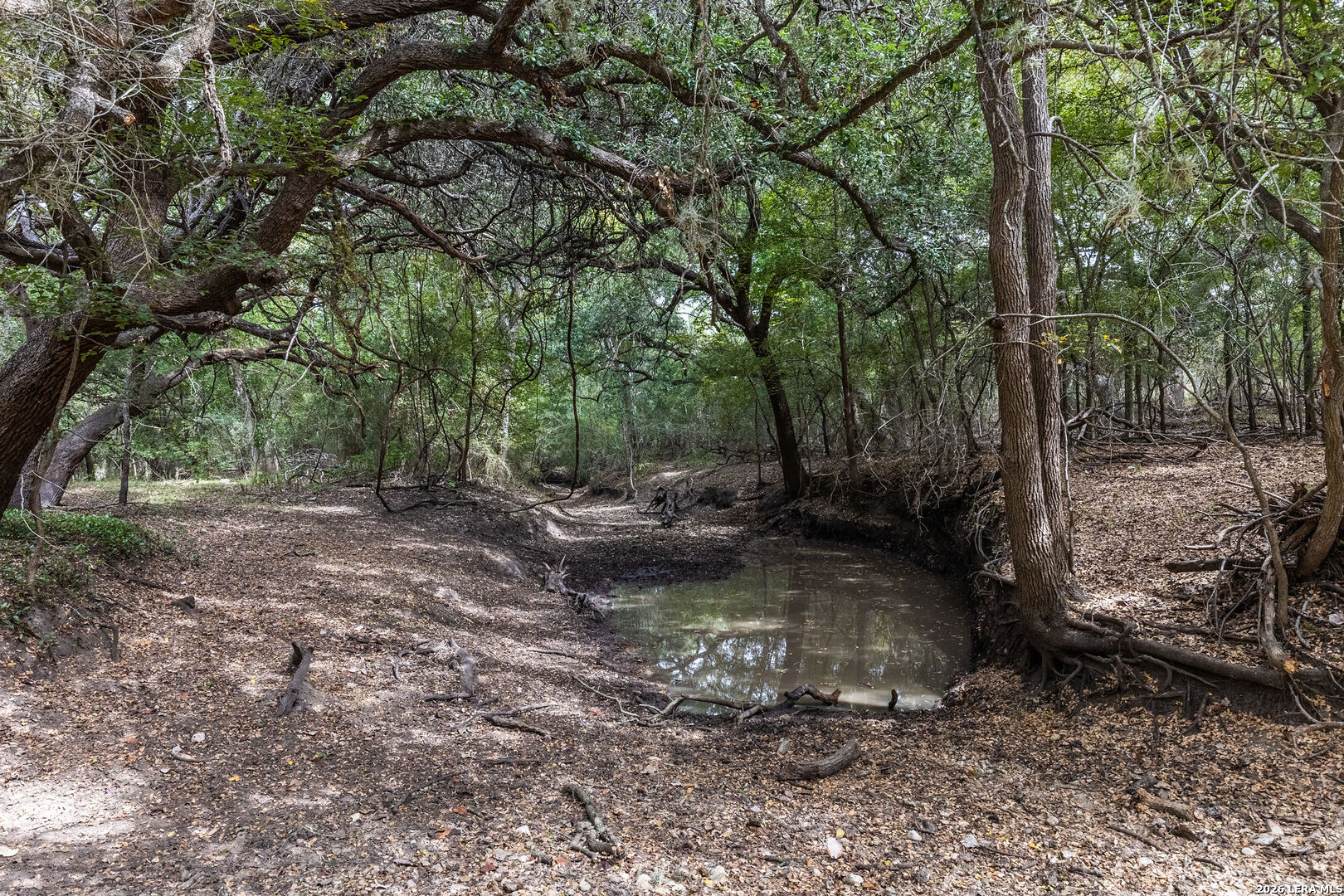 581 Eden Rd, Seguin, TX 78155