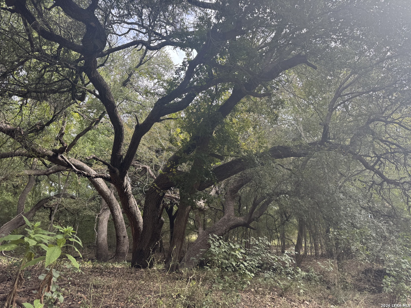 581 Eden Rd, Seguin, TX 78155