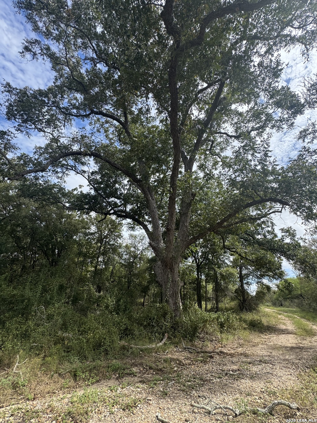 581 Eden Rd, Seguin, TX 78155