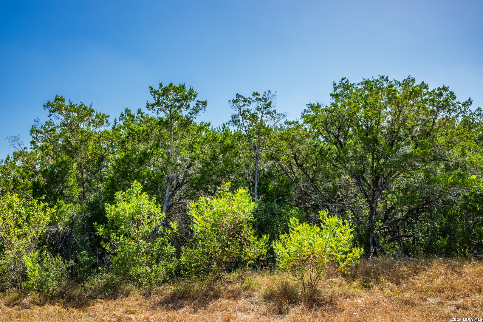 1850 Pr 2331, Hondo, TX 78861