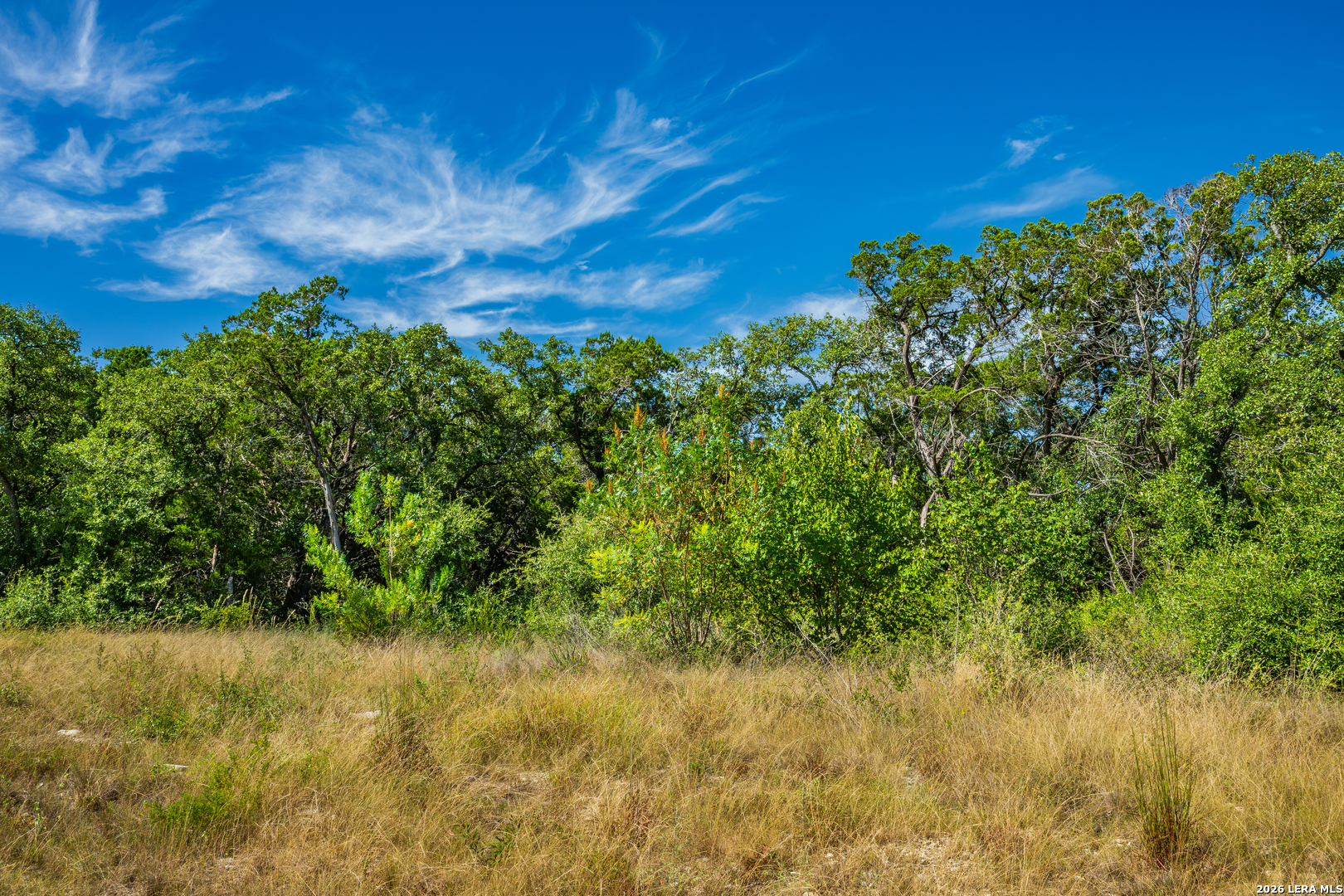 1850 Pr 2331, Hondo, TX 78861