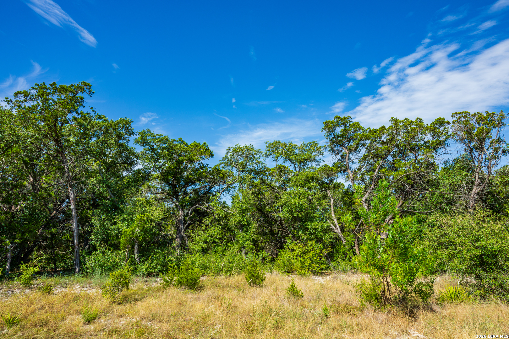 1850 Pr 2331, Hondo, TX 78861