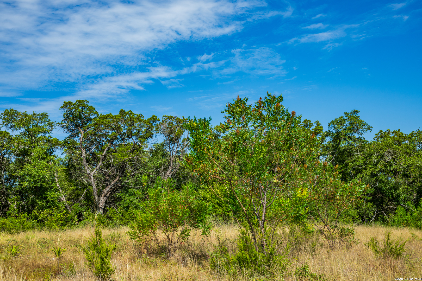 1850 Pr 2331, Hondo, TX 78861