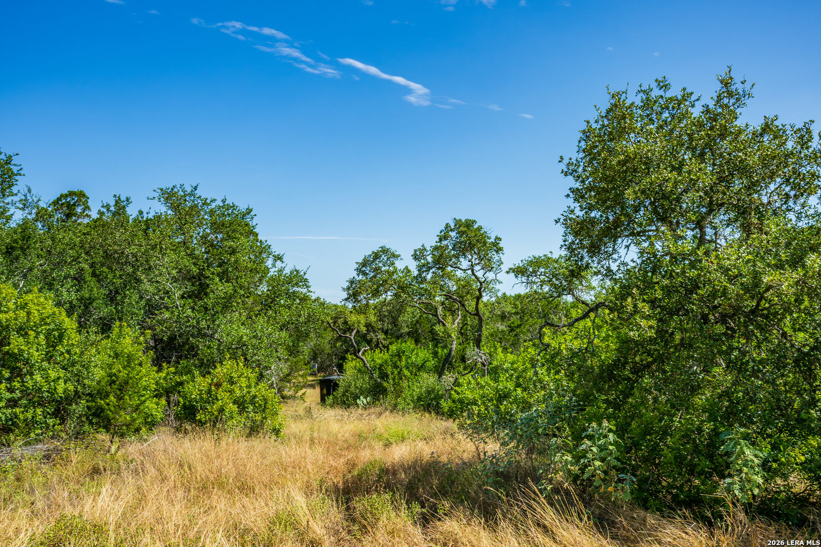1850 Pr 2331, Hondo, TX 78861