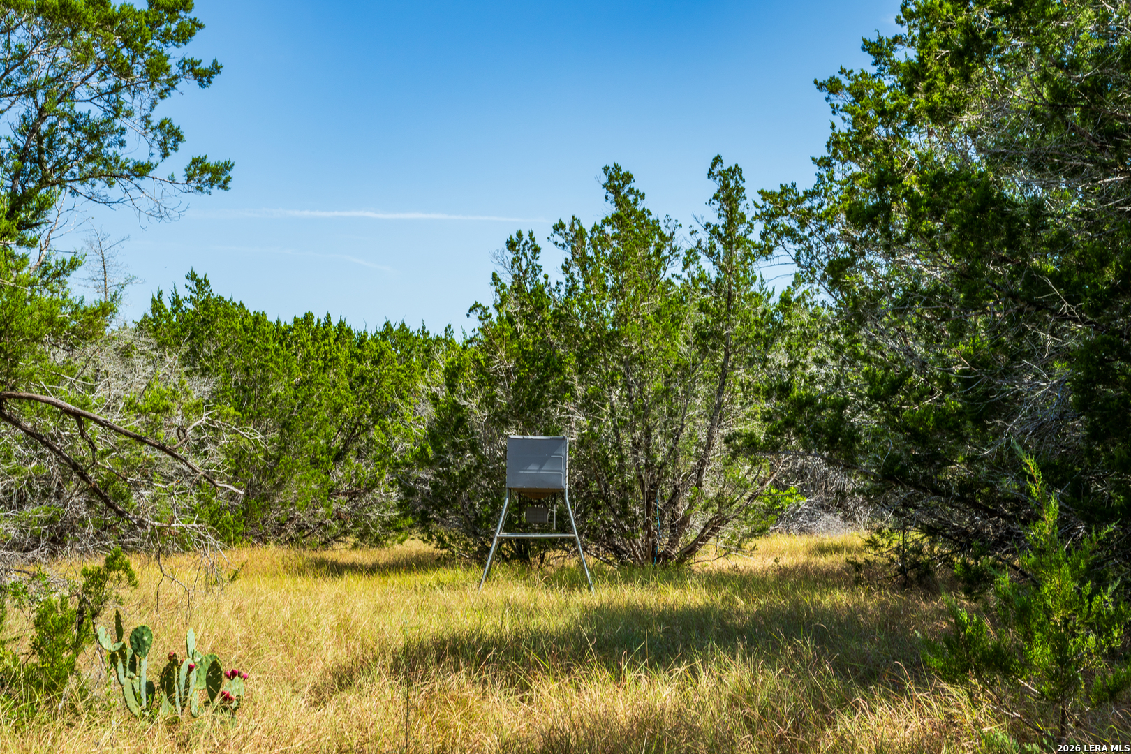 1850 Pr 2331, Hondo, TX 78861