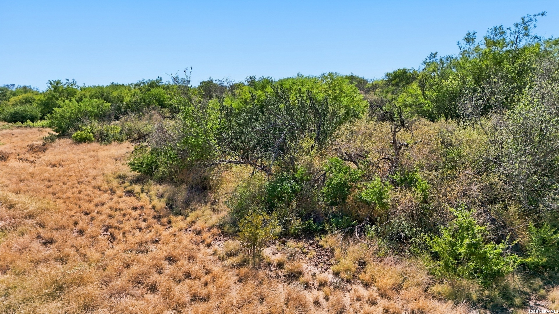 344 Private Rd 5000, Uvalde, TX 78801