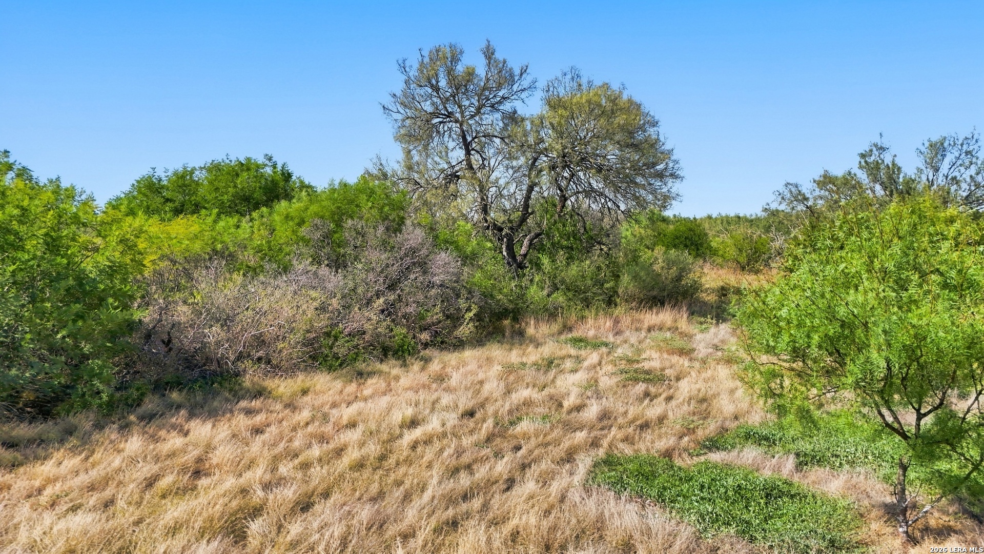 344 Private Rd 5000, Uvalde, TX 78801