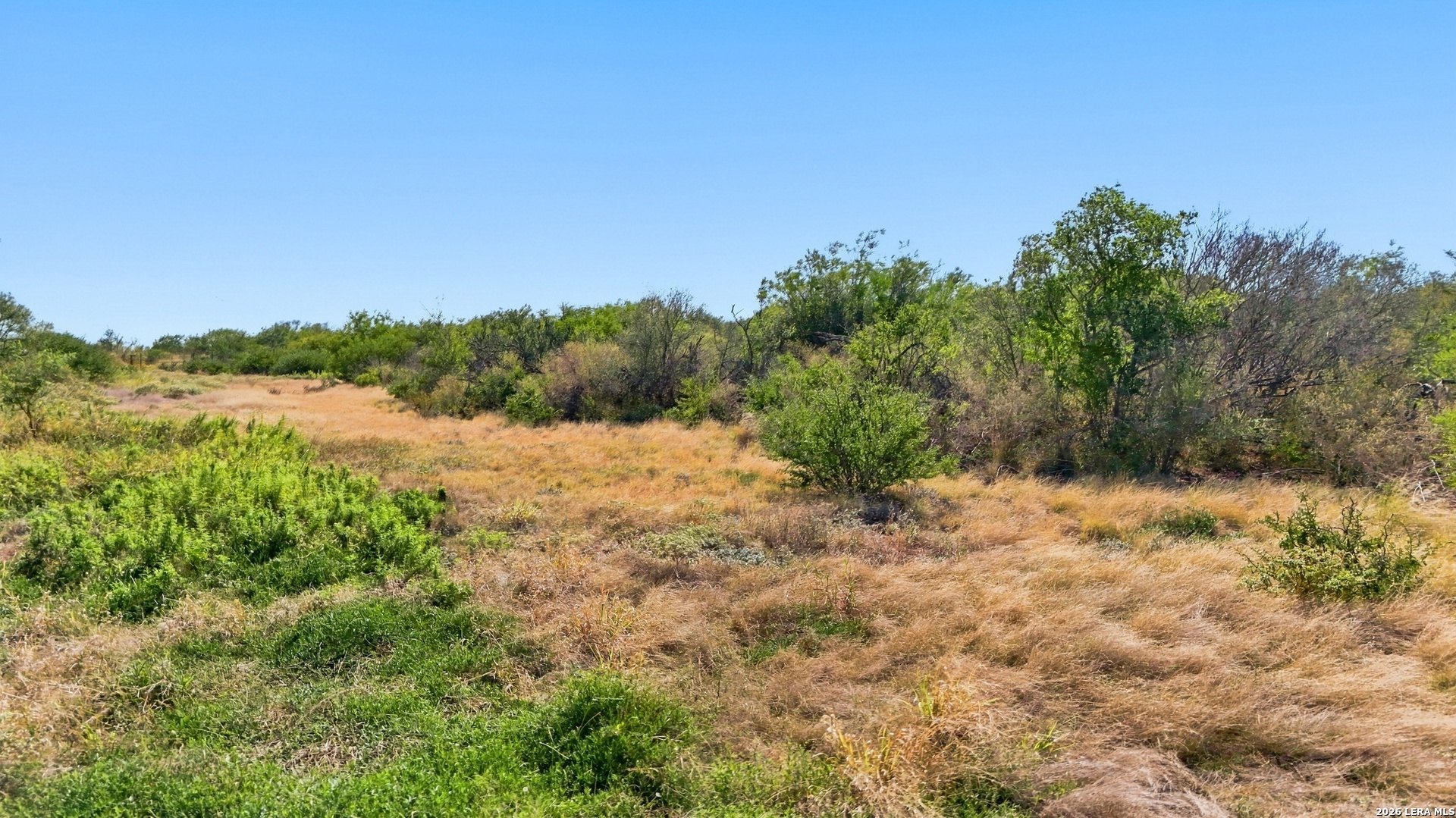 344 Private Rd 5000, Uvalde, TX 78801