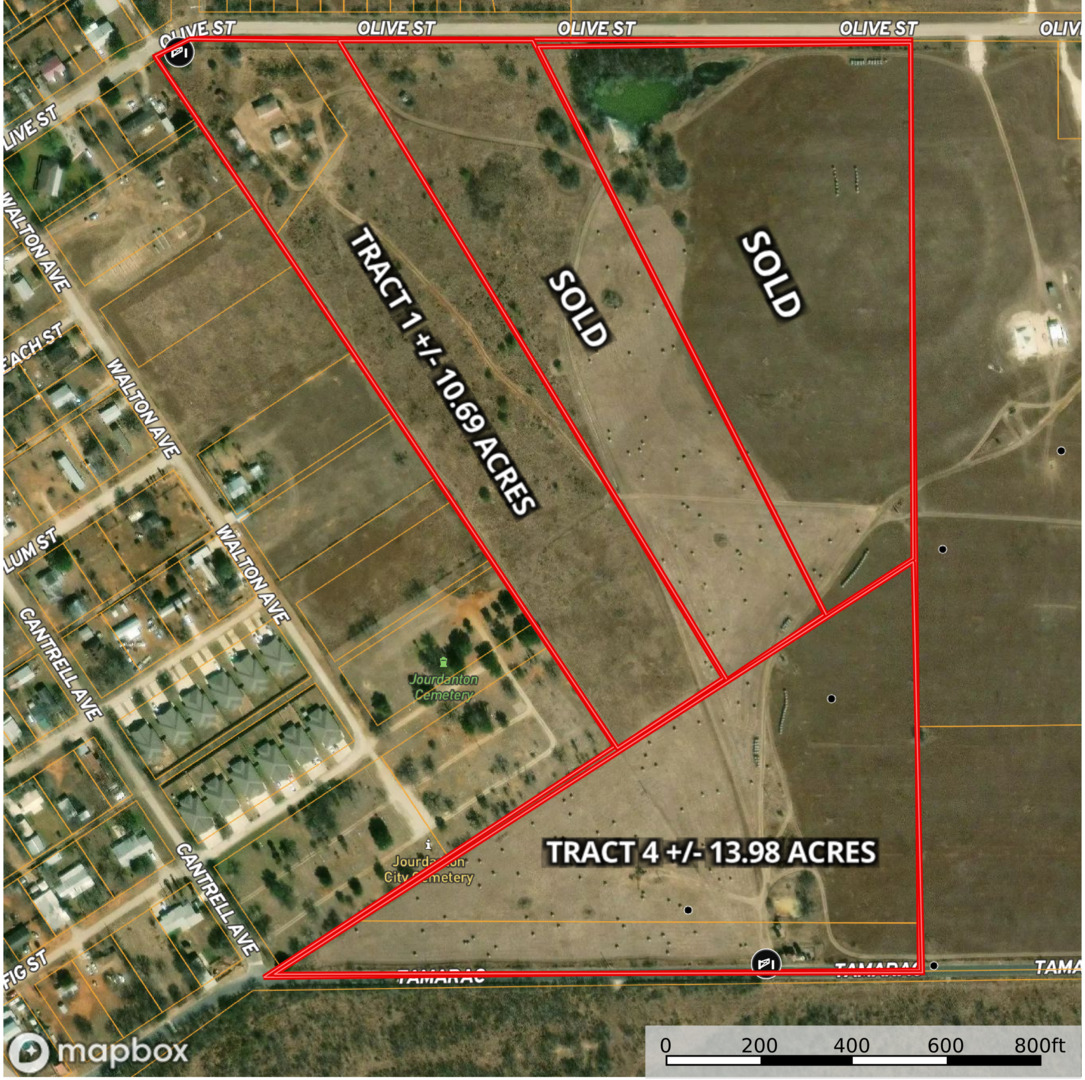 +/- 10.69 ACRES Olive Street, Jourdanton, TX 78026