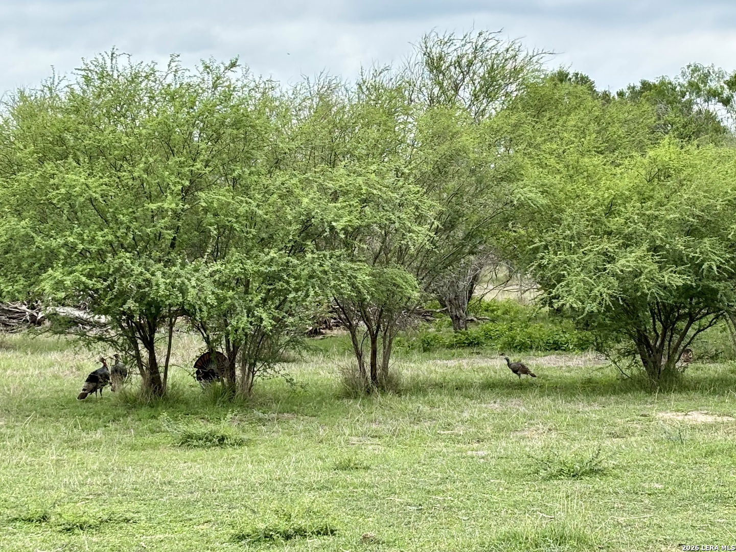 3078 State Highway 239, Kenedy, TX 78119