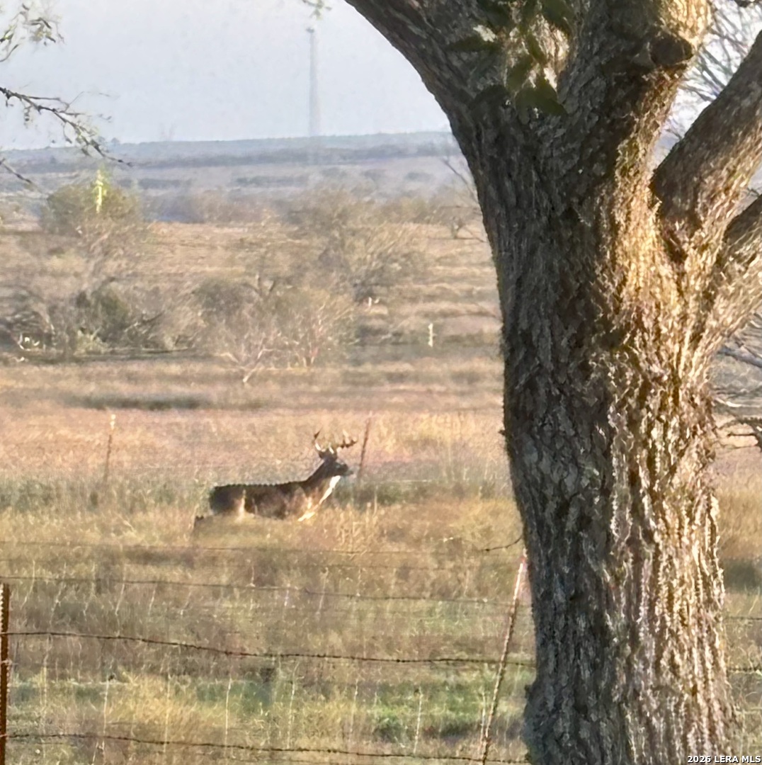 3078 State Highway 239, Kenedy, TX 78119
