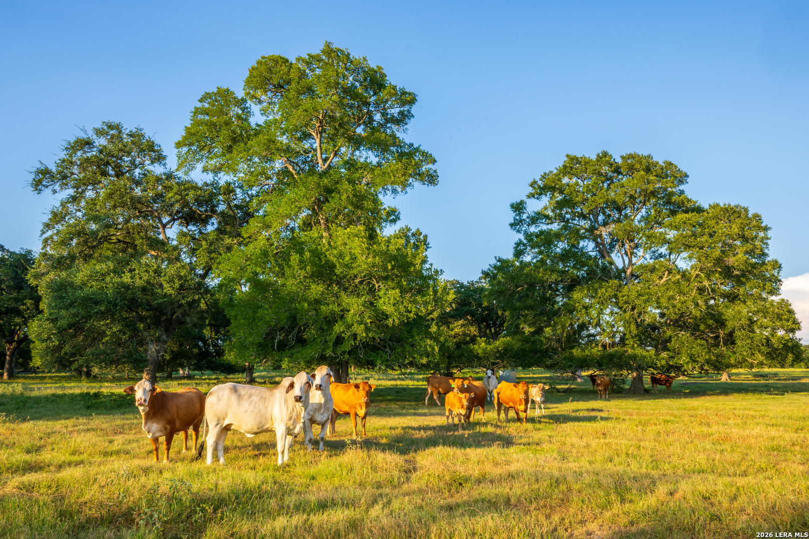 1071 private road 1090, Hallettsville, TX 77964