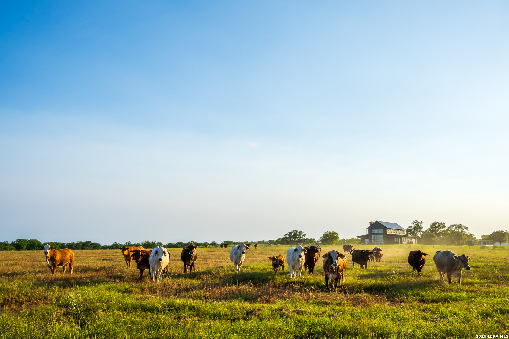 1071 private road 1090, Hallettsville, TX 77964