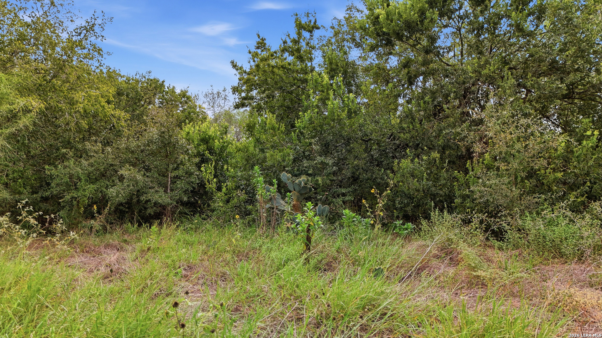 0 State Highway 72, Kenedy, TX 78119