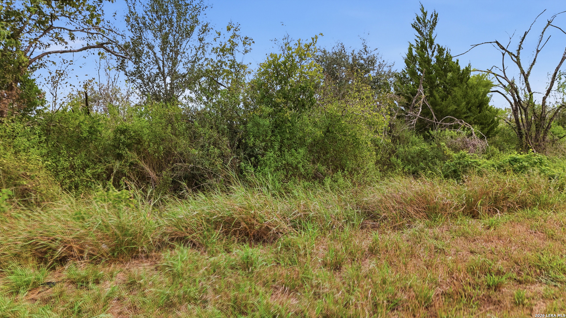 0 State Highway 72, Kenedy, TX 78119