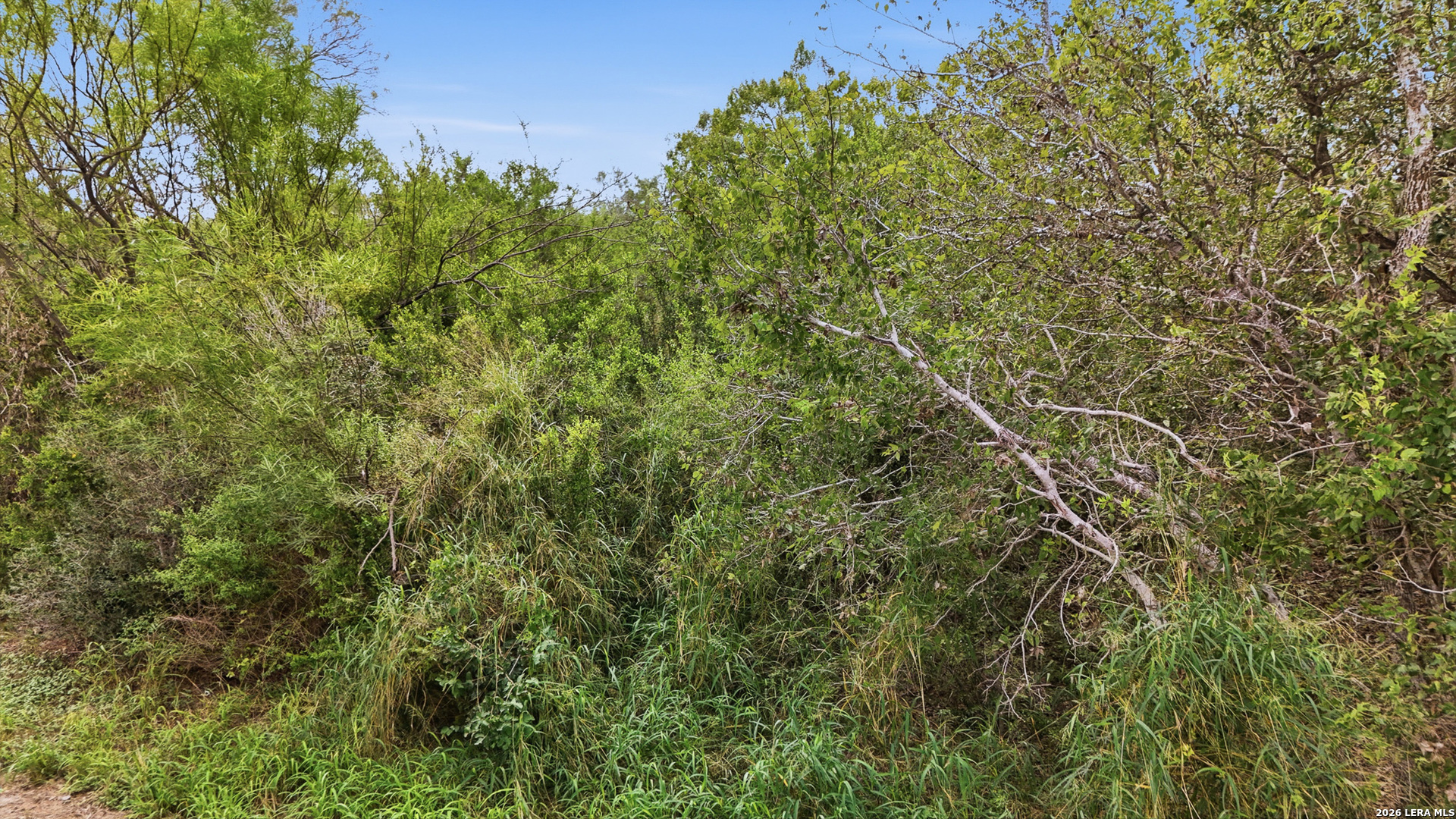0 State Highway 72, Kenedy, TX 78119