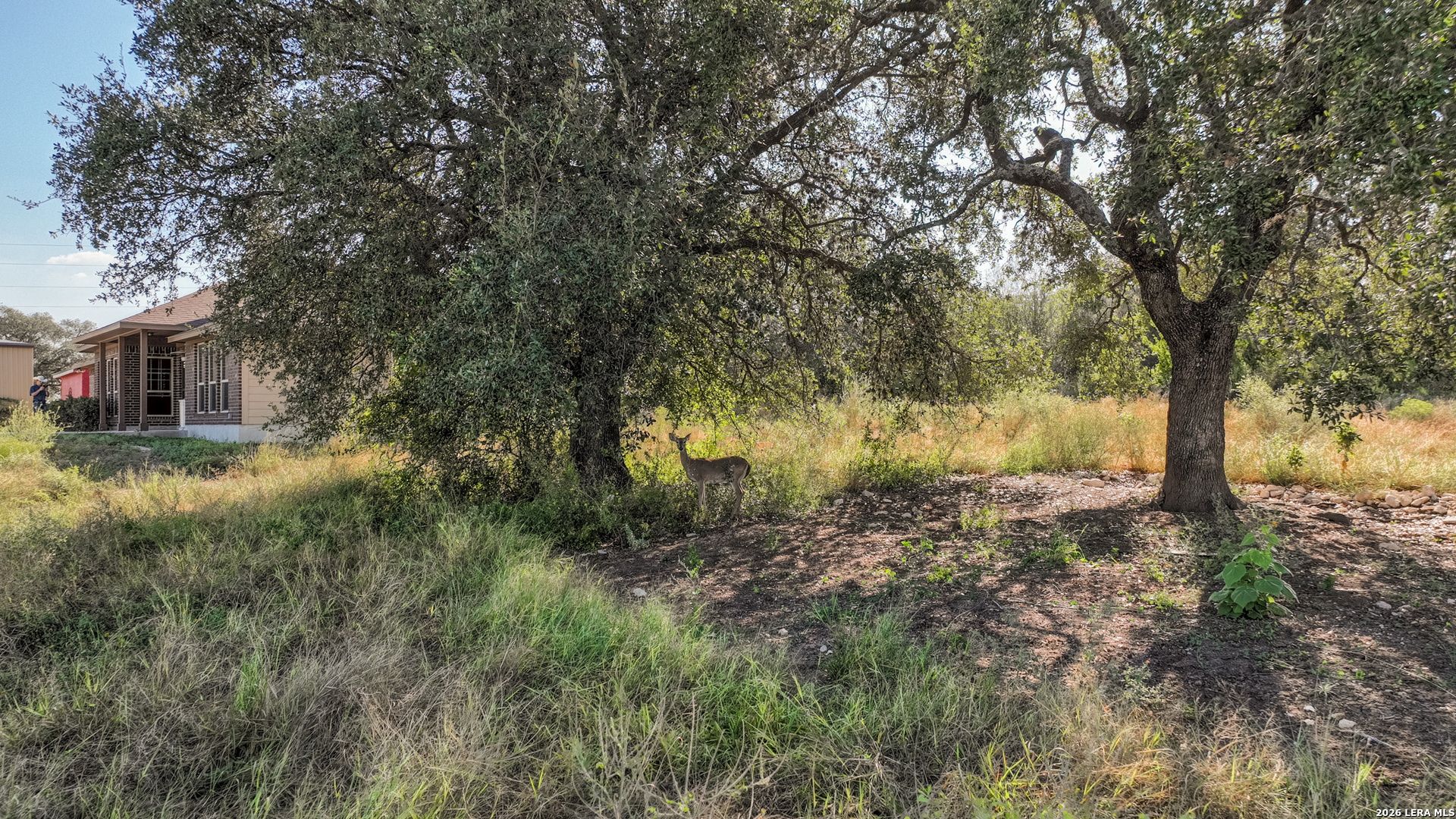1405 County Road 251, Hondo, TX 78861
