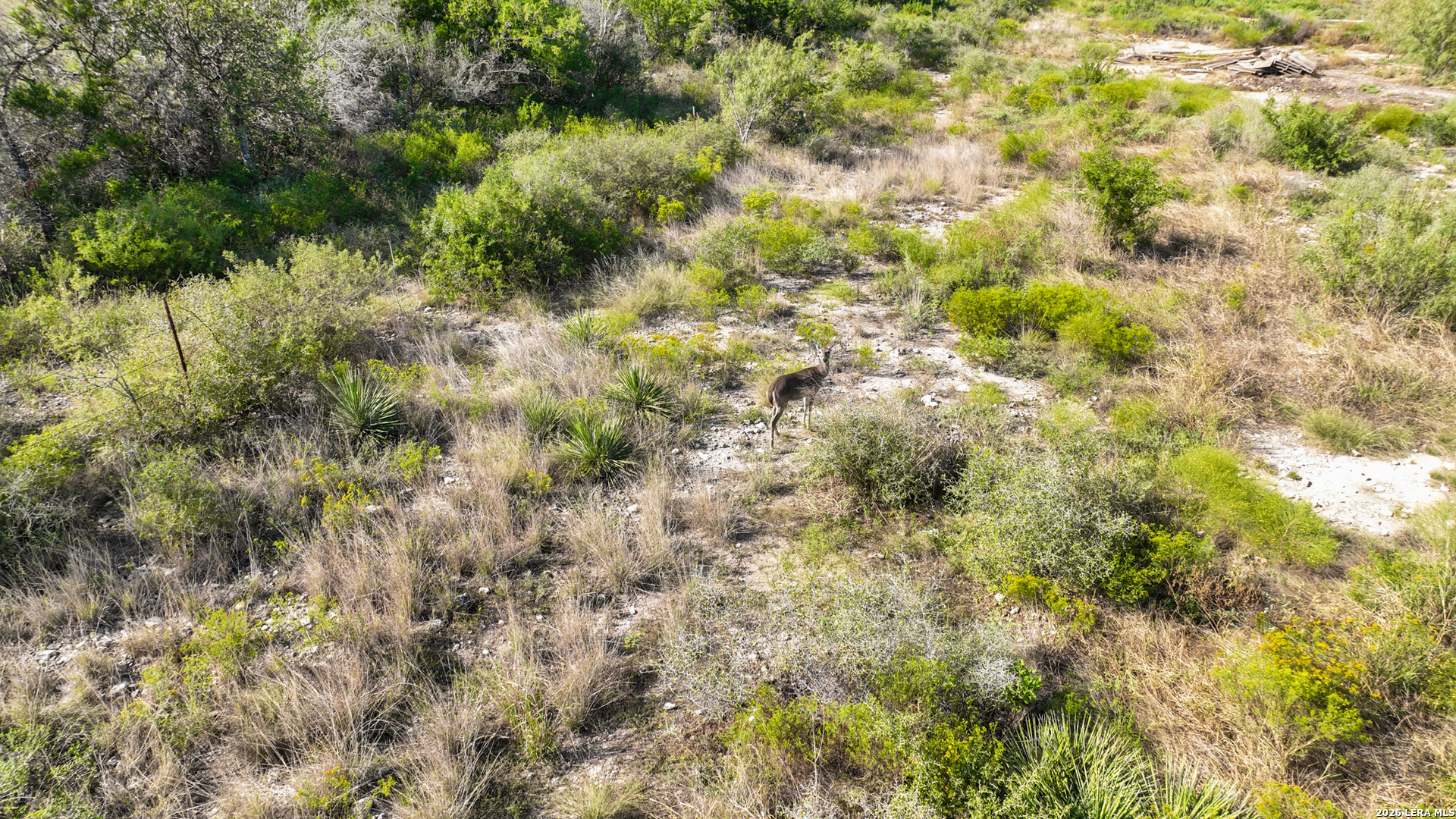 1405 County Road 251, Hondo, TX 78861