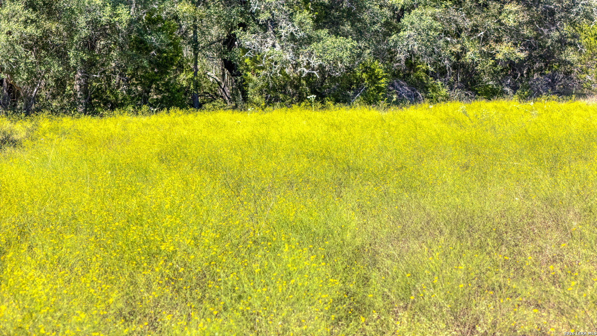 TBD Gallagher Ranch on Park Rd 37, Helotes, TX 78023