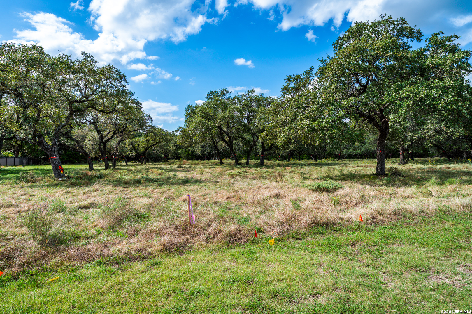 23407 Osceola Blf, San Antonio, TX 78261