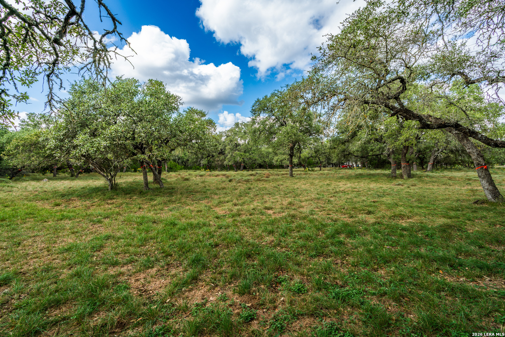 23407 Osceola Blf, San Antonio, TX 78261