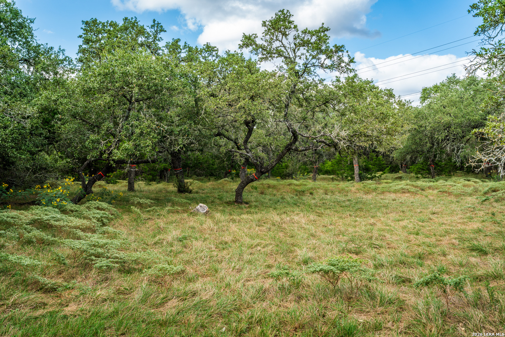 23407 Osceola Blf, San Antonio, TX 78261