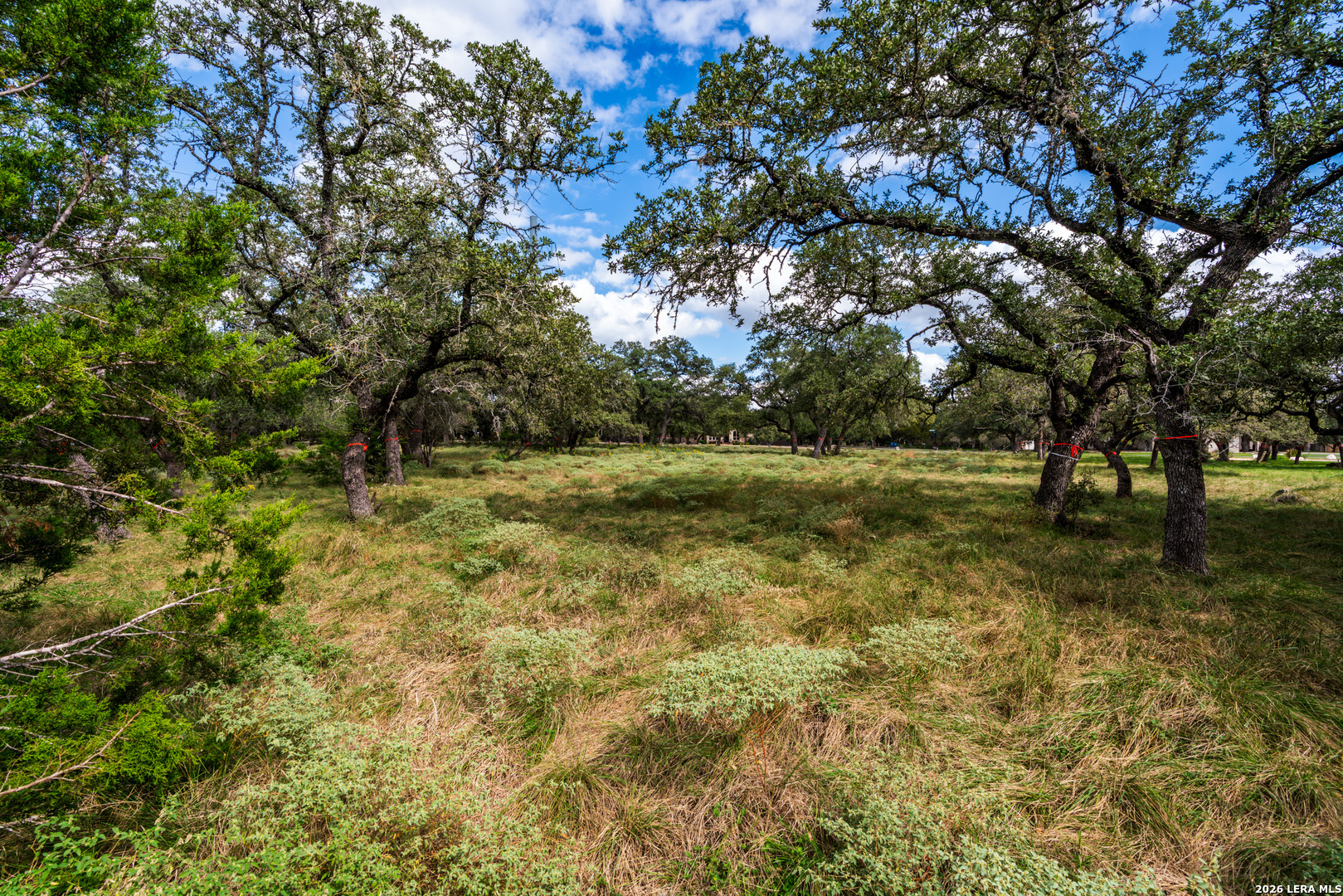 23407 Osceola Blf, San Antonio, TX 78261