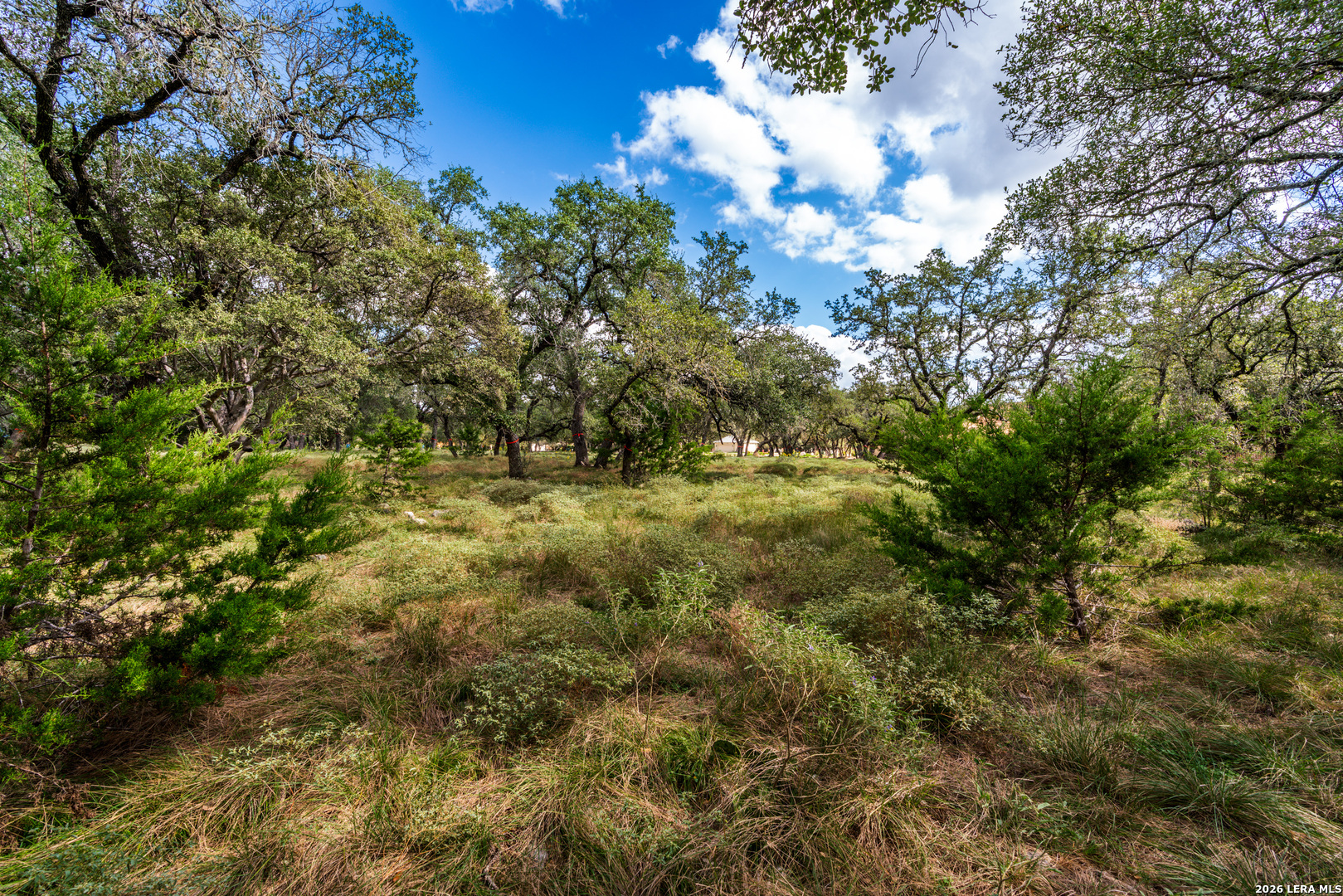 23407 Osceola Blf, San Antonio, TX 78261