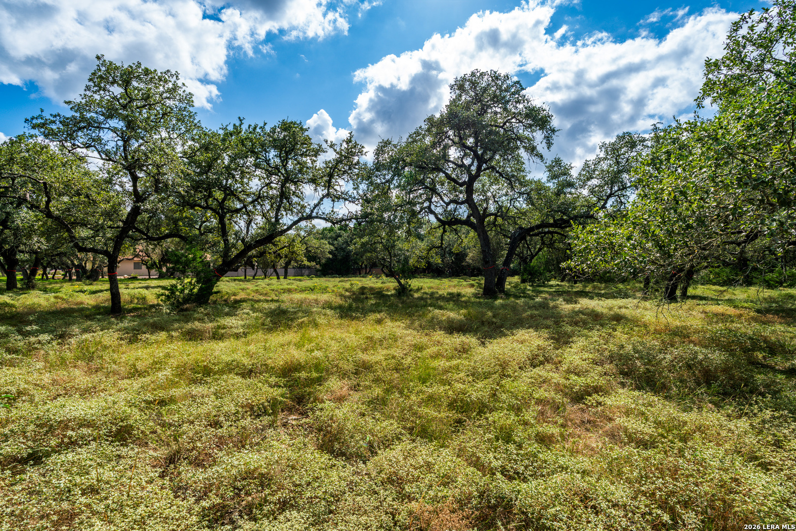 23407 Osceola Blf, San Antonio, TX 78261
