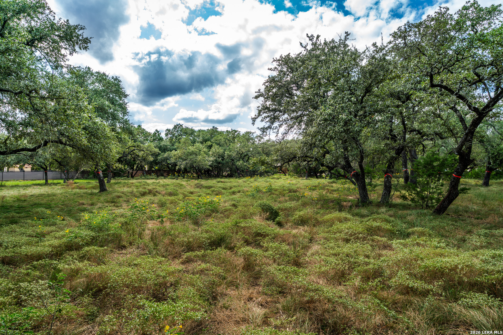 23407 Osceola Blf, San Antonio, TX 78261