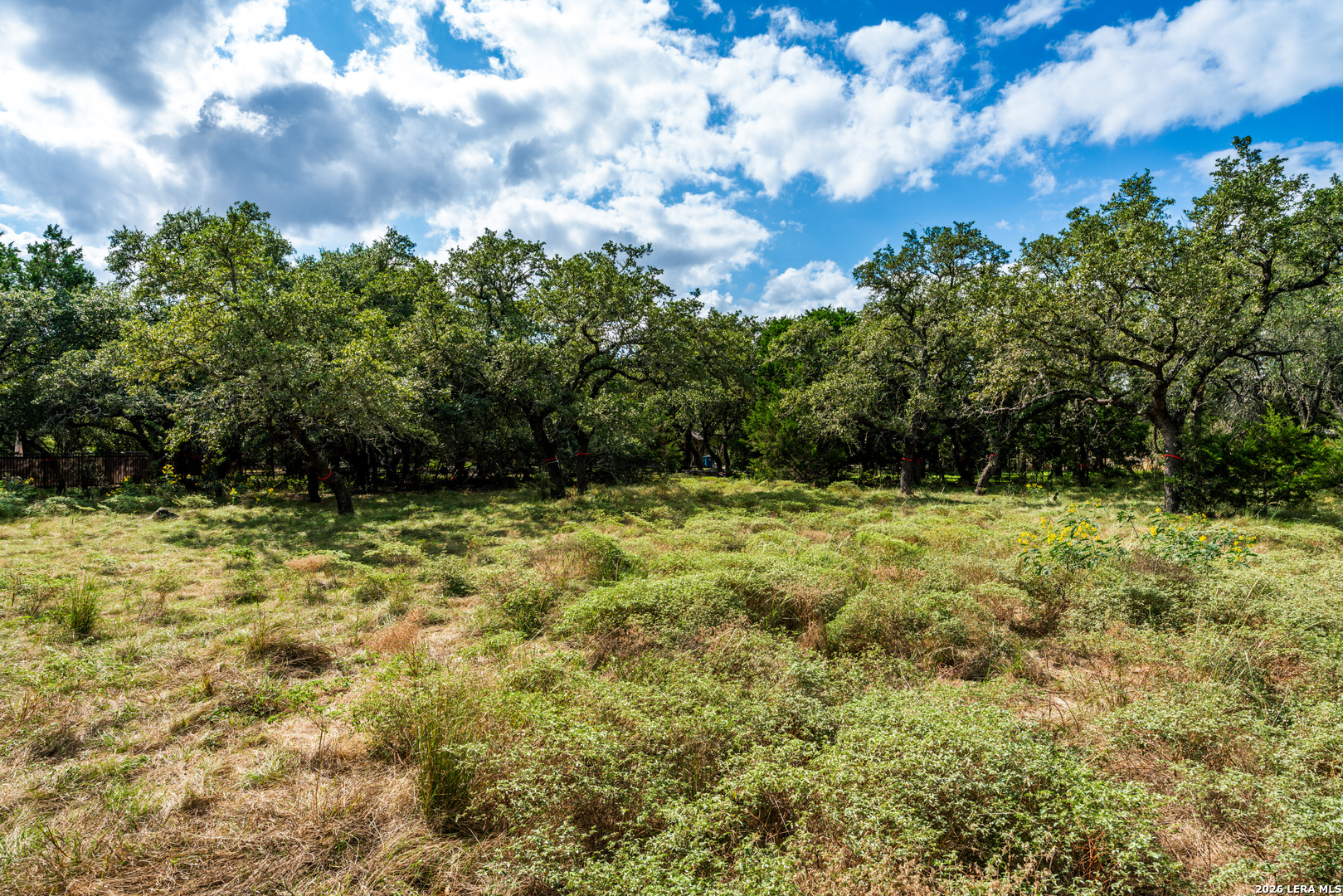 23407 Osceola Blf, San Antonio, TX 78261