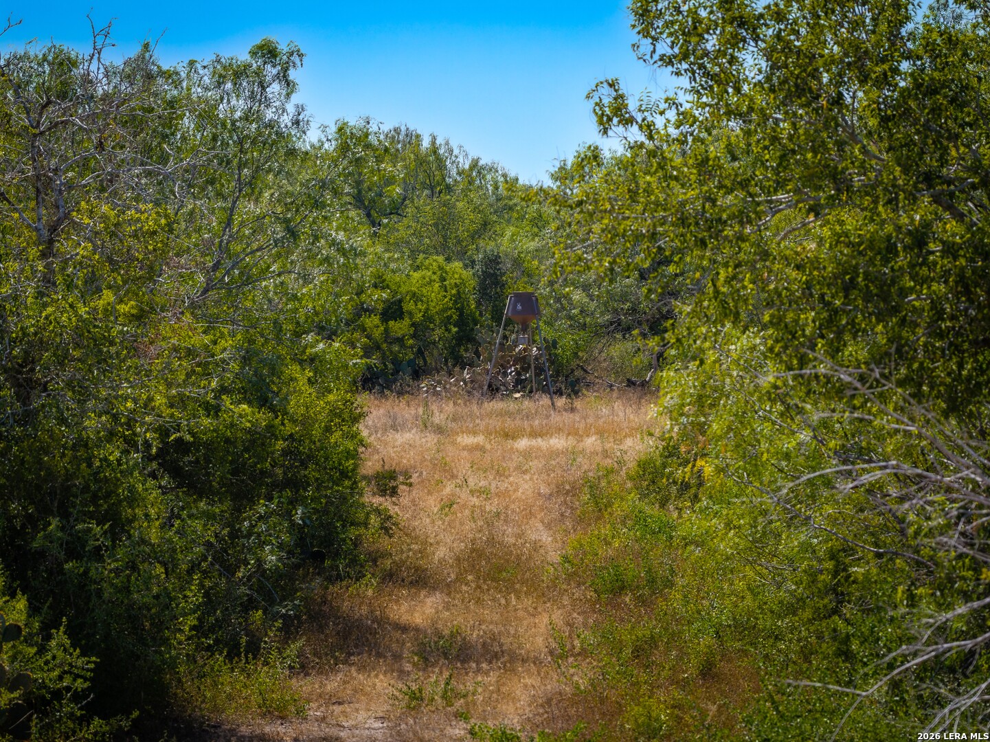 000 CR 341, Beeville, TX 78102