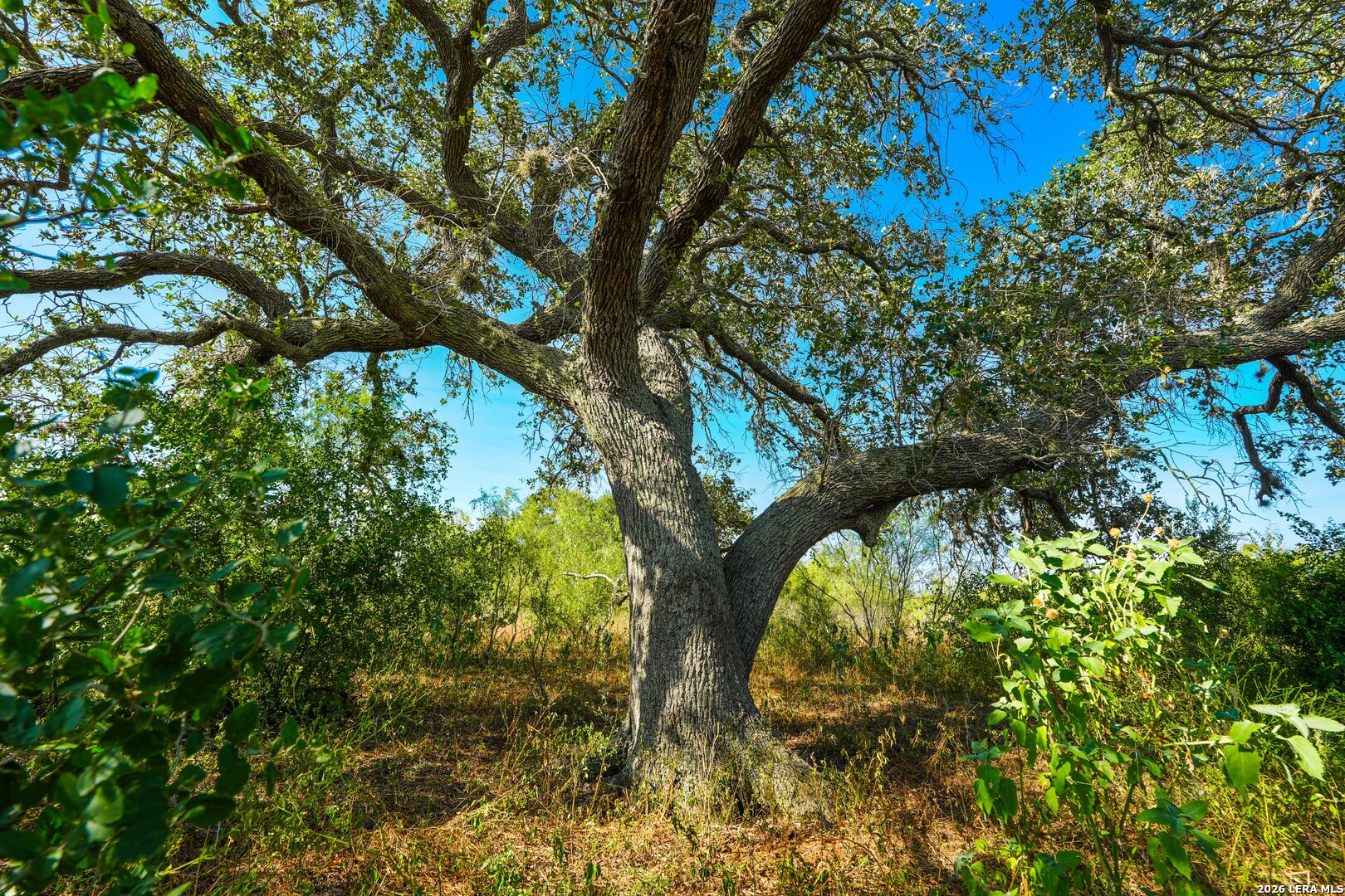 000 CR 341, Beeville, TX 78102