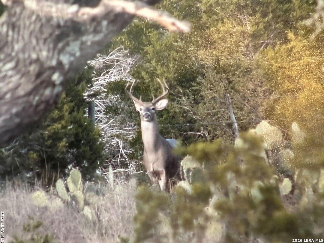 TBD Gallagher Ranch on Park Rd 37, Helotes, TX 78023
