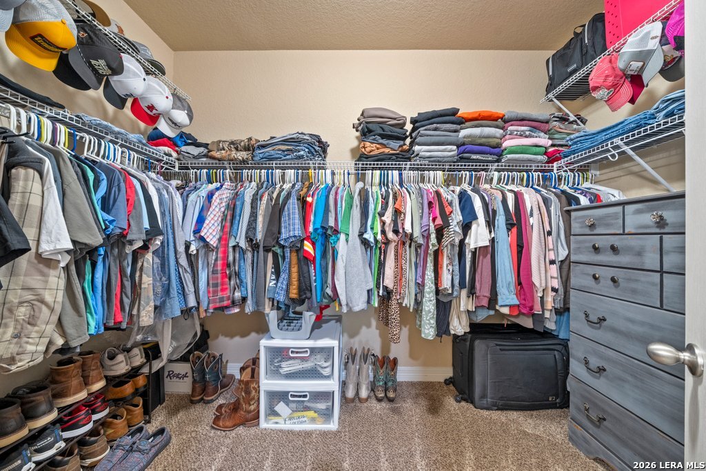 773 Great Cloud, New Braunfels, TX 78130