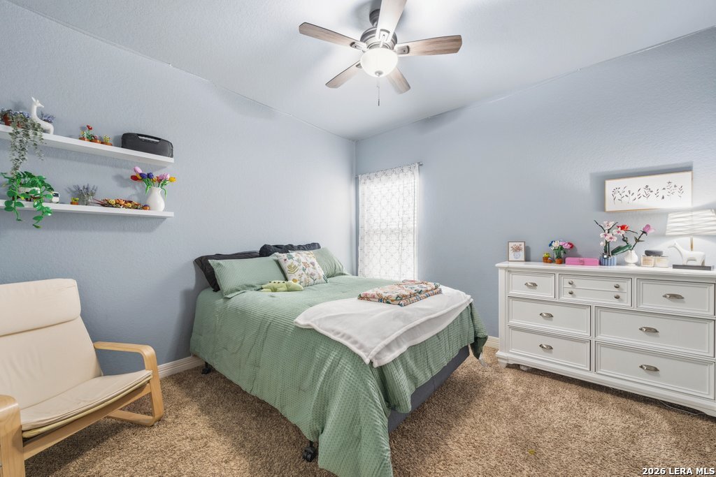 773 Great Cloud, New Braunfels, TX 78130