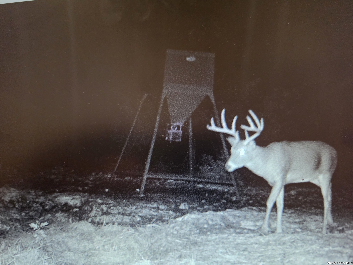TBD SD 52800, Rocksprings, TX 78880