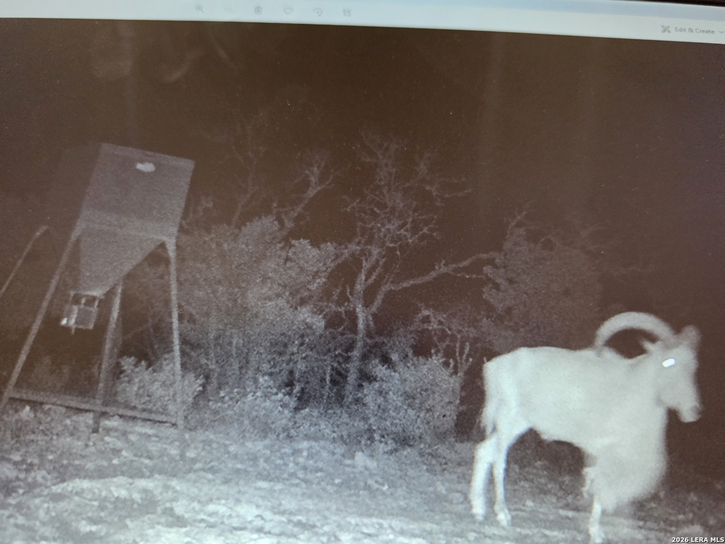 TBD SD 52800, Rocksprings, TX 78880