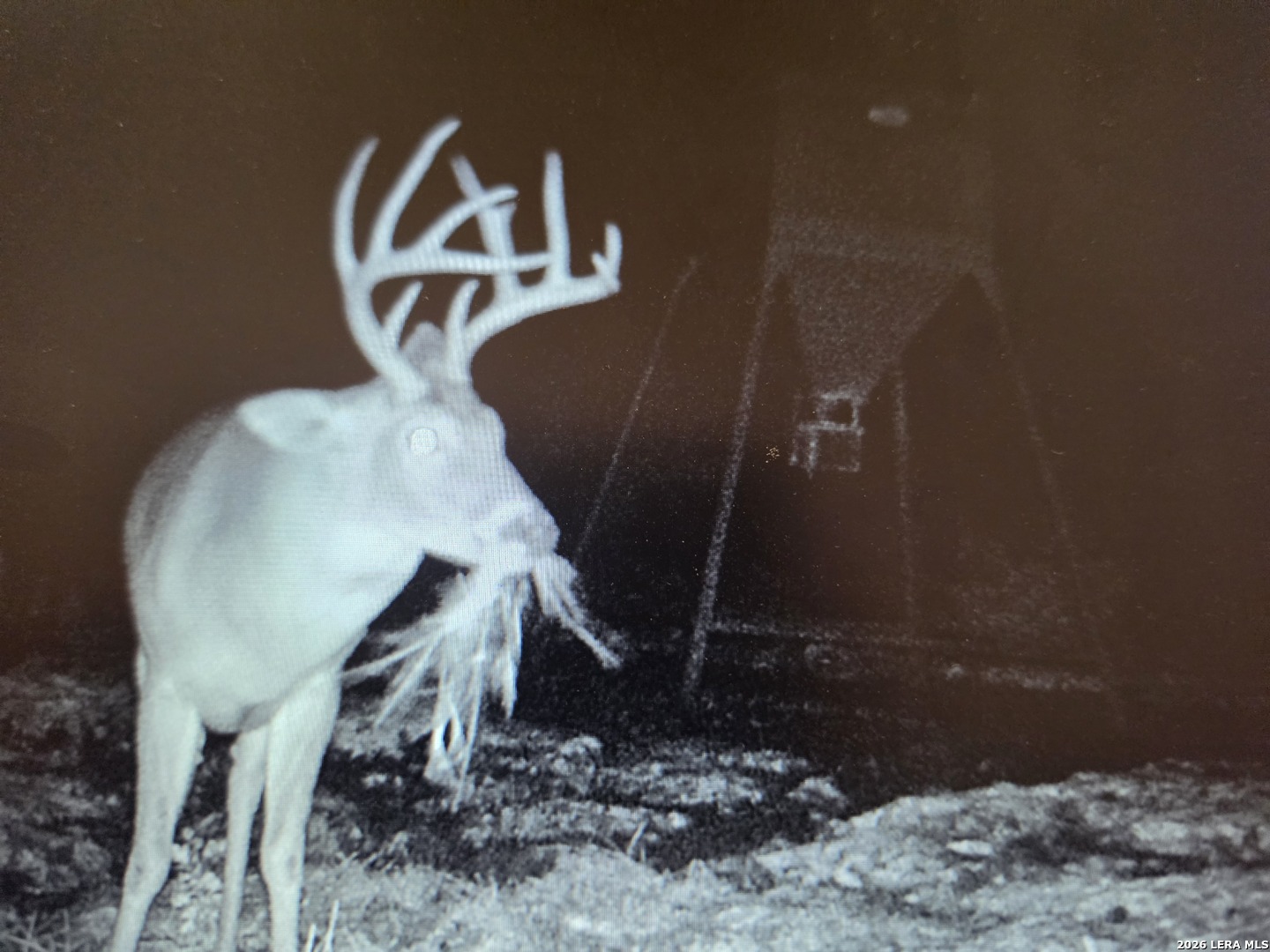 TBD SD 52800, Rocksprings, TX 78880