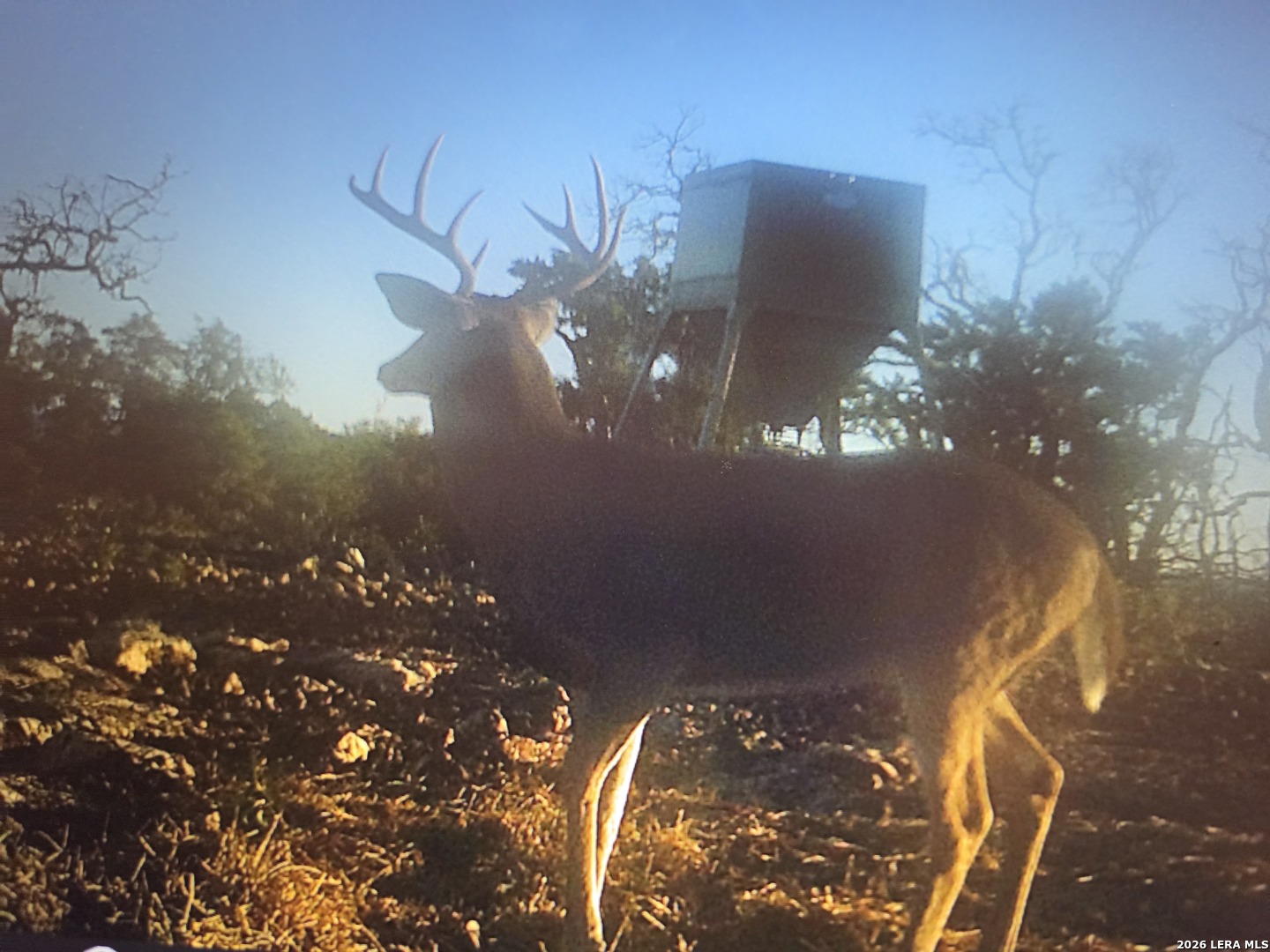 TBD SD 52800, Rocksprings, TX 78880