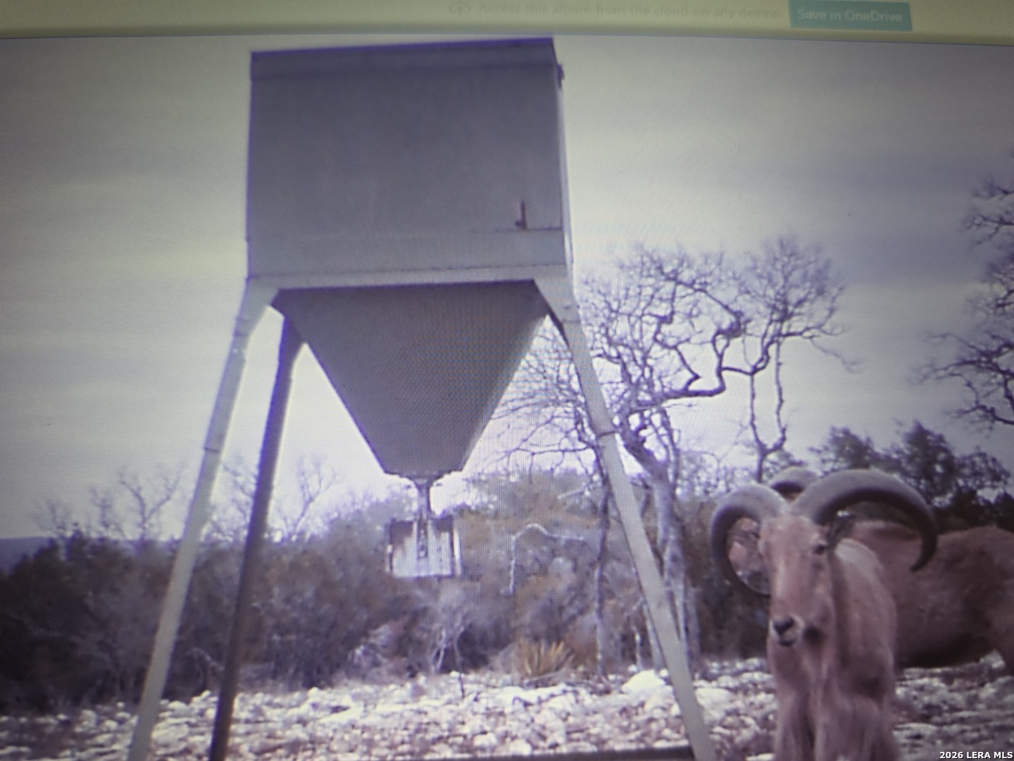 TBD SD 52800, Rocksprings, TX 78880